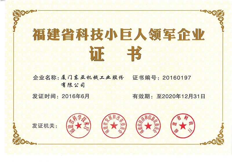 科技小巨人