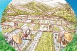 龍崗坂田天芳農作物跟我司簽下網站制作合約