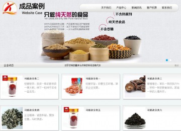 商務型成品案例站No:8409