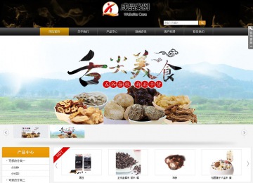 商務型成品案例站No:8829
